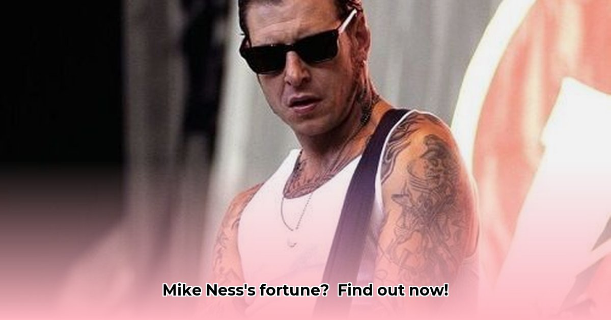 mike-ness-net-worth